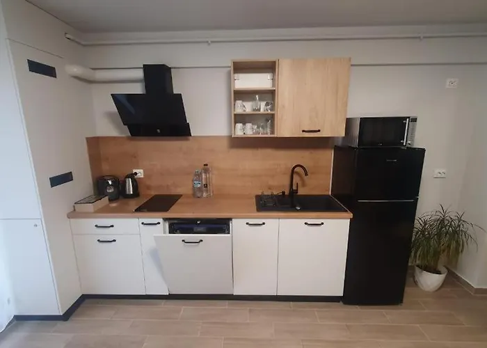 Ego Rezidence 20 Διαμέρισμα Κλουζ-Ναπόκα